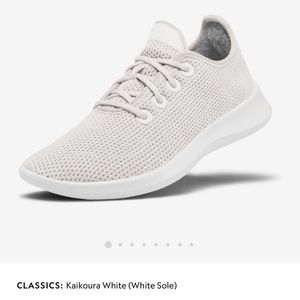 Allbirds Tree Runners Kaikoura White Sneaker